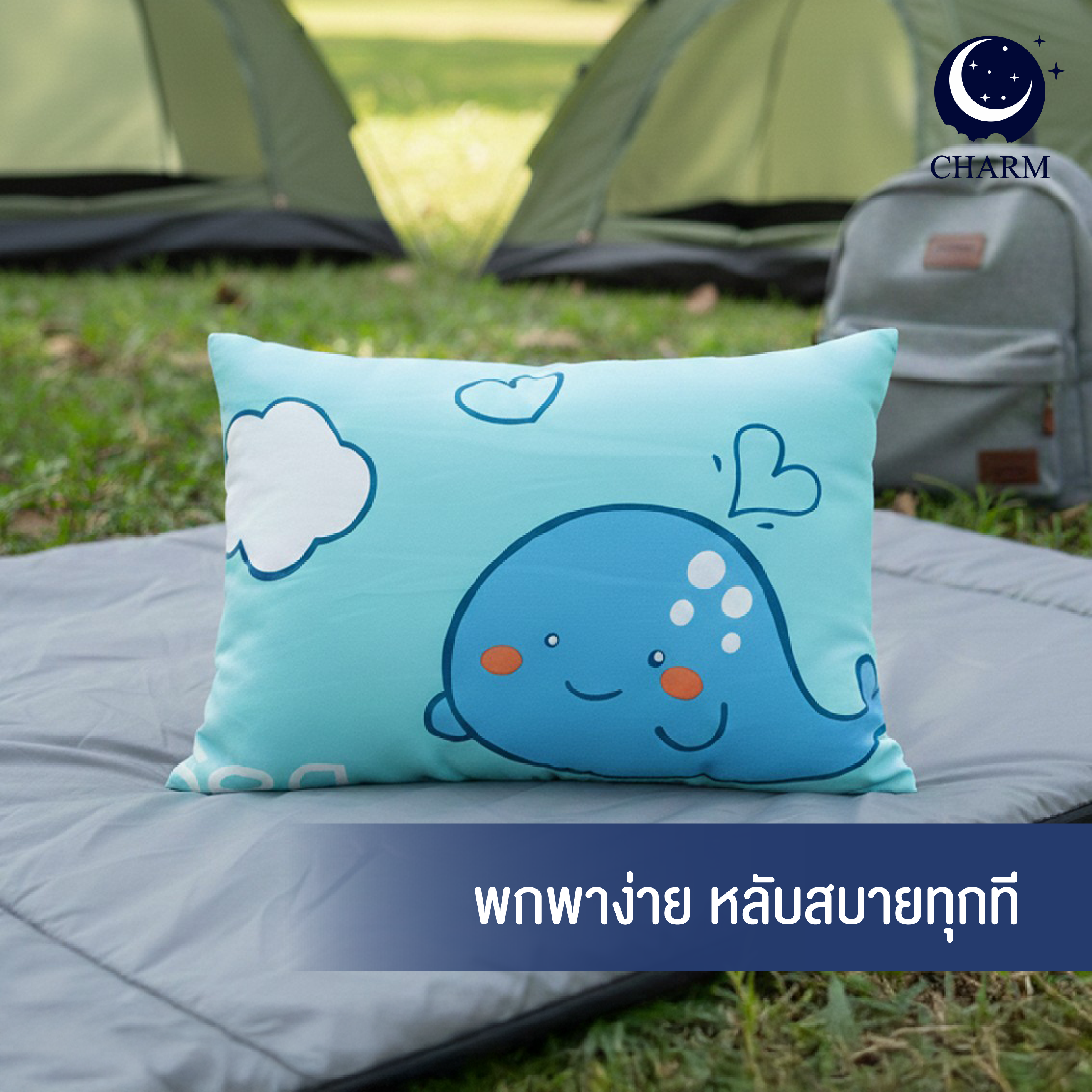 หมอน CHARM 1 ใบ (คละลาย) หมอนอเนกประสงค์ 35X50 ซม._8